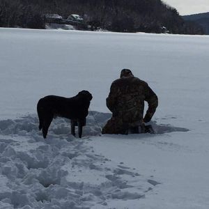 Meet your Posher, Jean-michel